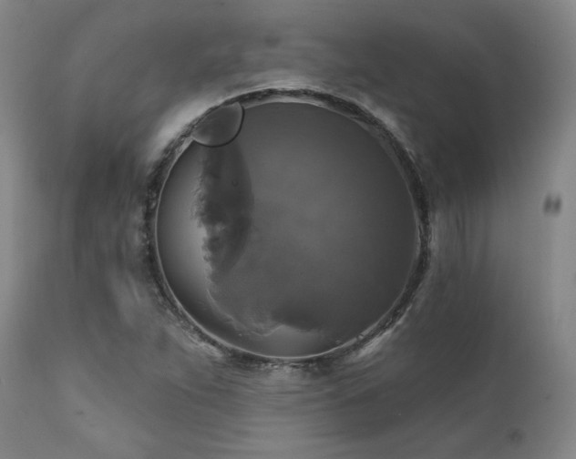 X0000111821263200907231309