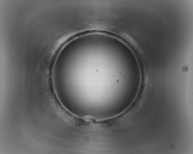 X0000111821264200907231309