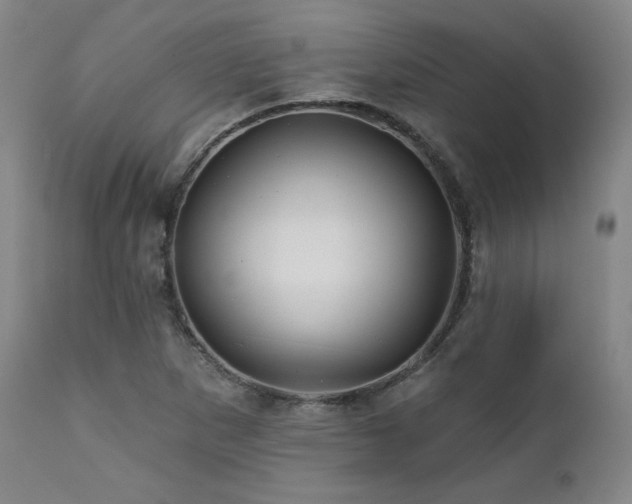 X0000111821265200907231309