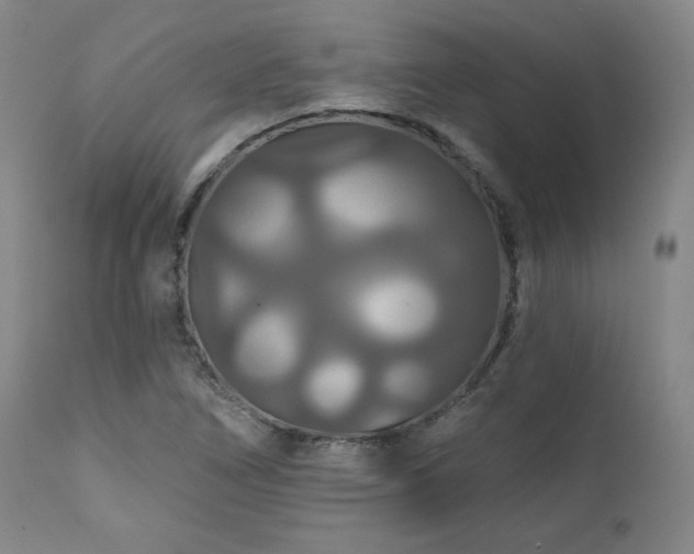 X0000111821266200907231309