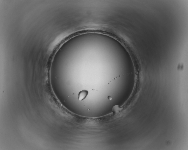X0000111821267200907231309