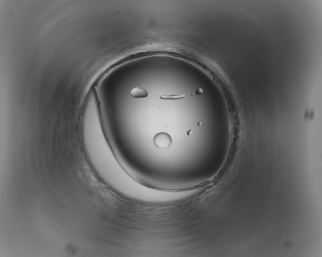 X0000111821268200907231309