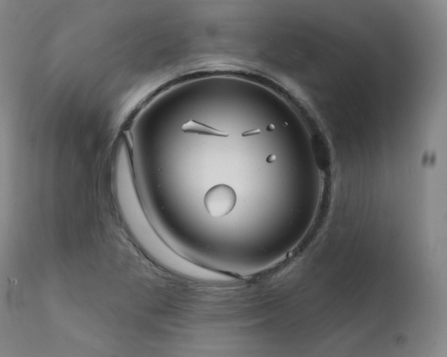 X0000111821269200907231309