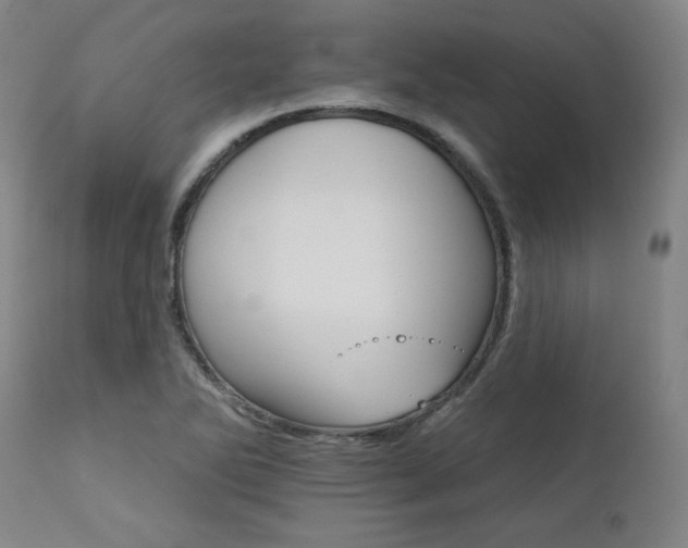 X0000111821270200907231309