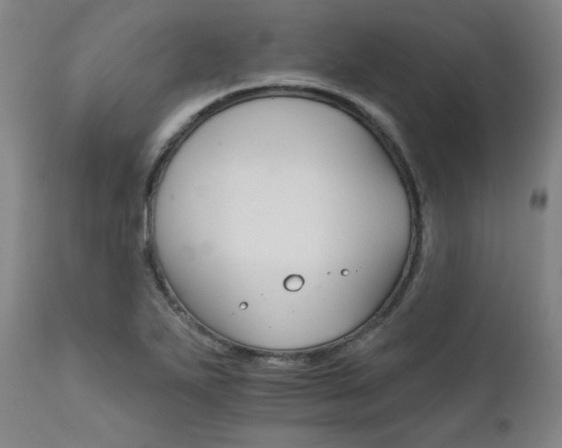 X0000111821271200907231309