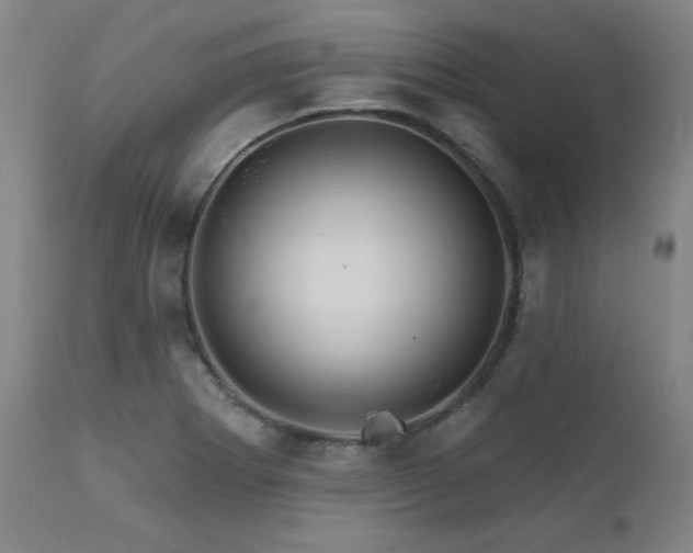 X0000111821273200907231309