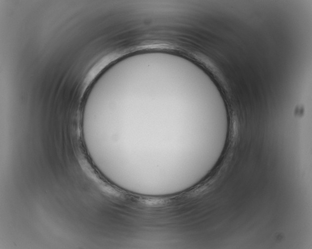 X0000111821274200907231309