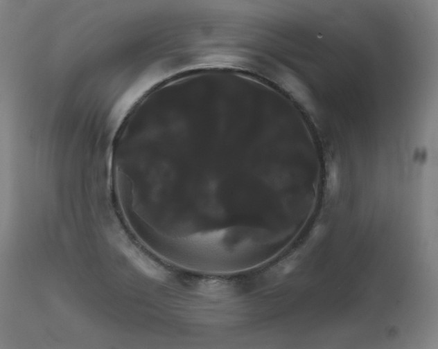 X0000111821275200907231309
