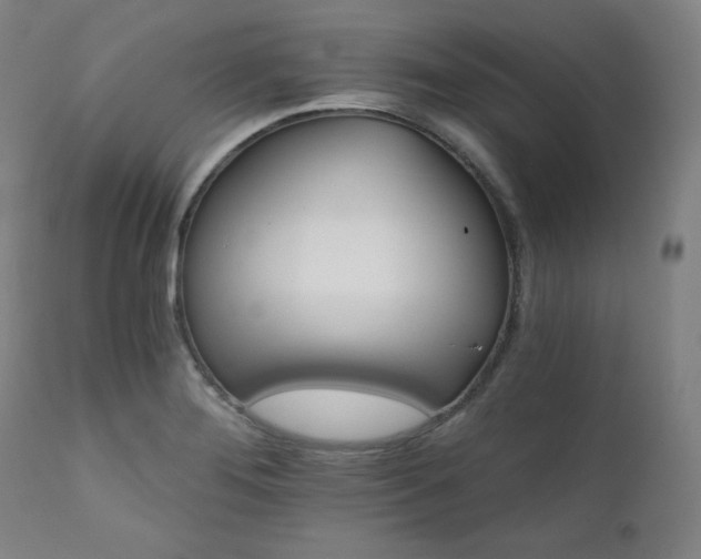 X0000111821276200907231309