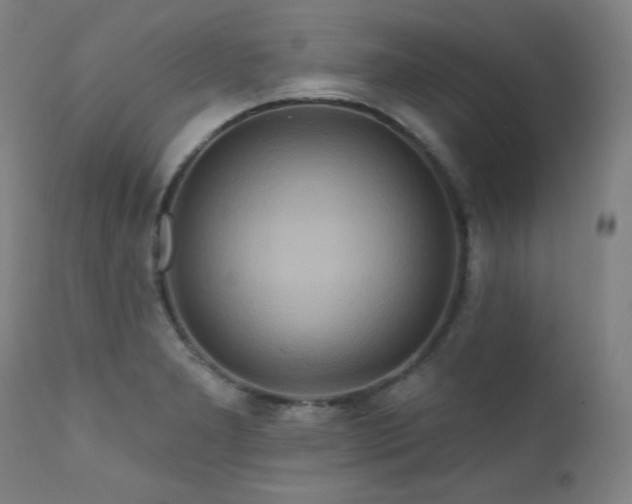 X0000111821277200907231309