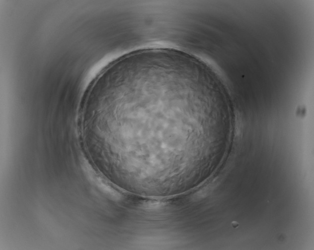 X0000111821278200907231309