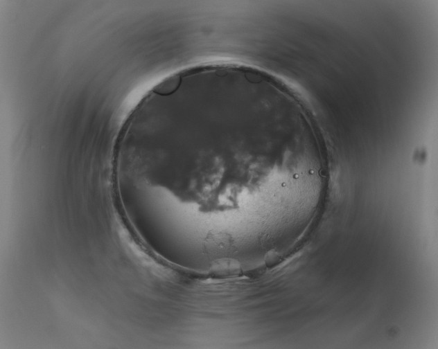 X0000111821279200907231309