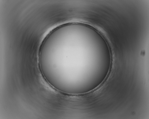 X0000111821280200907231309
