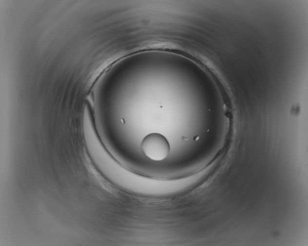X0000111821281200907231309