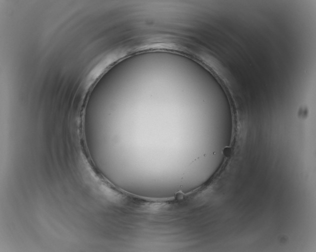 X0000111821282200907231309