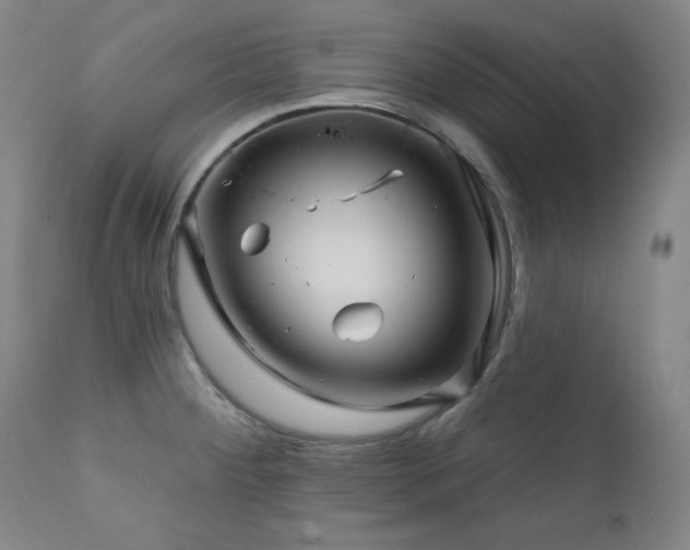 X0000111821284200907231309