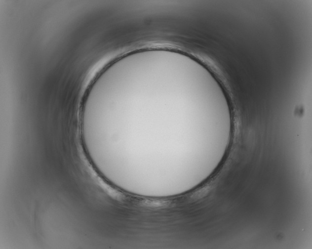 X0000111821286200907231309