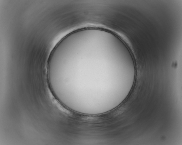 X0000111821287200907231309