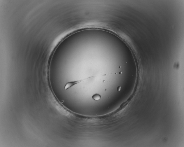 X0000111821288200907231309