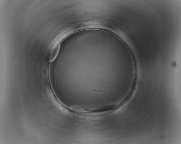 X0000111821289200907231309
