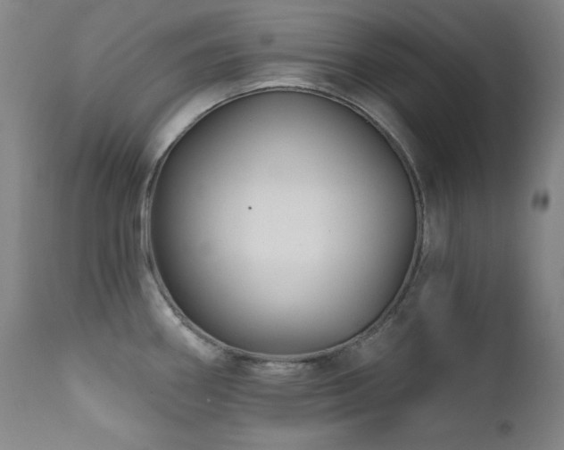 X0000111821290200907231309
