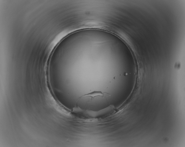 X0000111821291200907231309