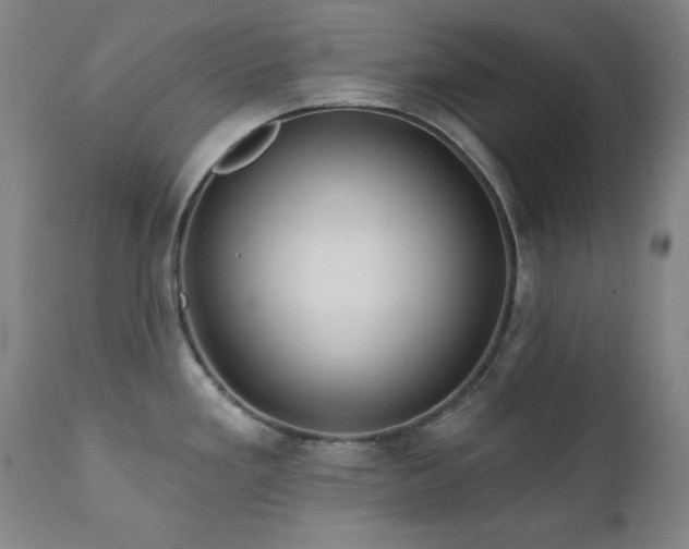 X0000111821293200907231309