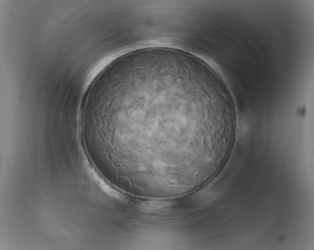 X0000111821294200907231309