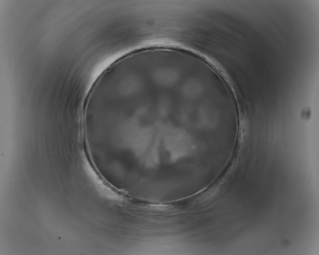 X0000111821295200907231309