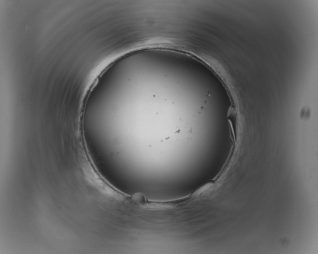 X0000111821296200907231309