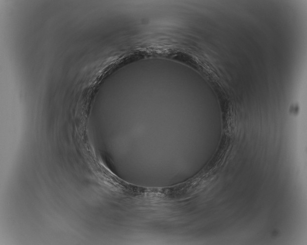X0000111821297200907231308