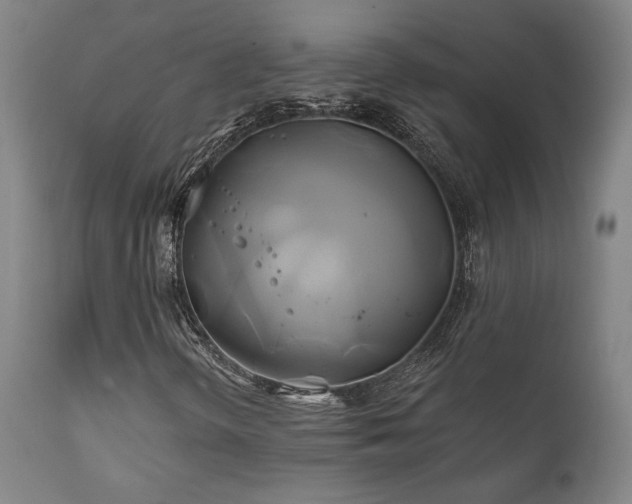 X0000111821298200907231308