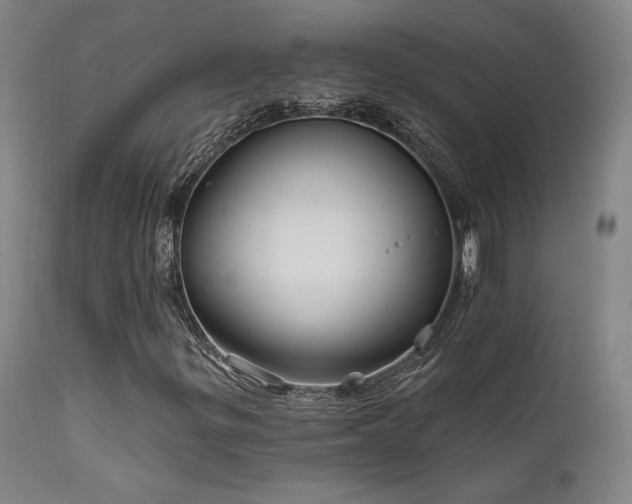 X0000111821299200907231308