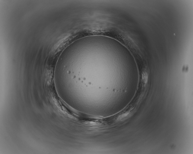X0000111821300200907231308