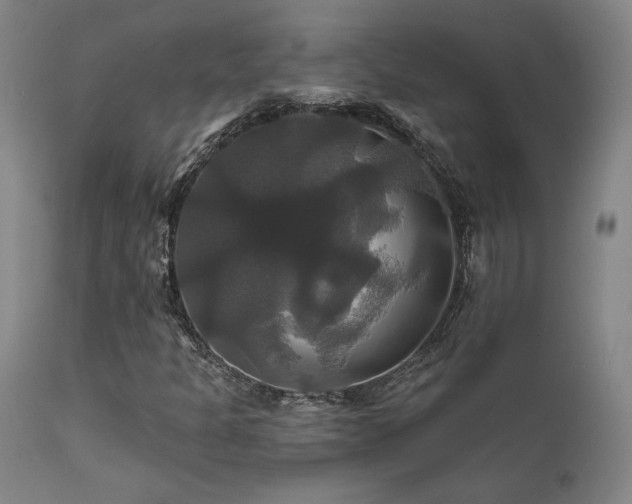 X0000111821301200907231308