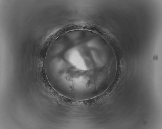 X0000111821302200907231308