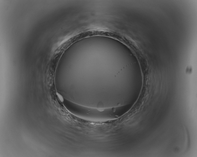 X0000111821303200907231308