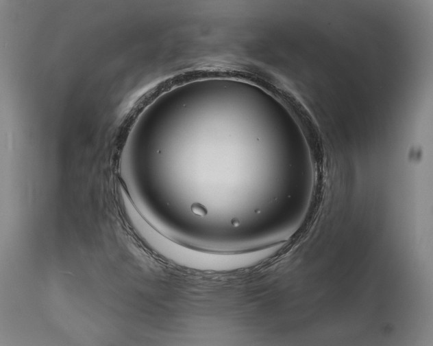 X0000111821304200907231308