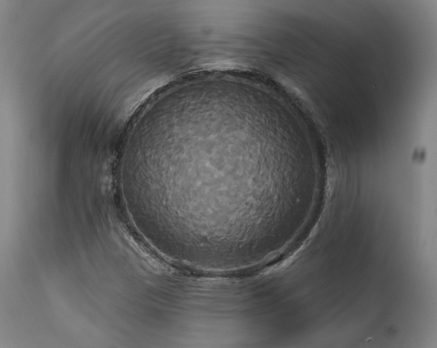 X0000111821305200907231308