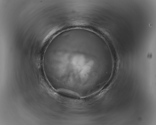 X0000111821306200907231308