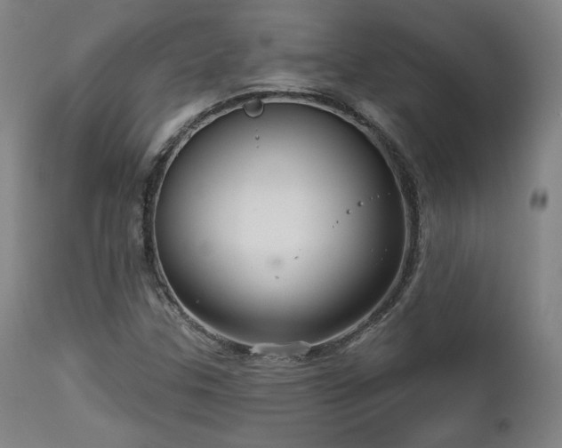 X0000111821307200907231308