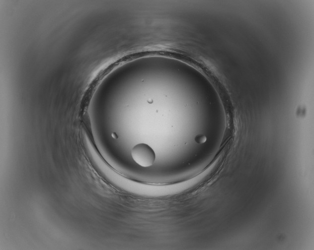 X0000111821308200907231308