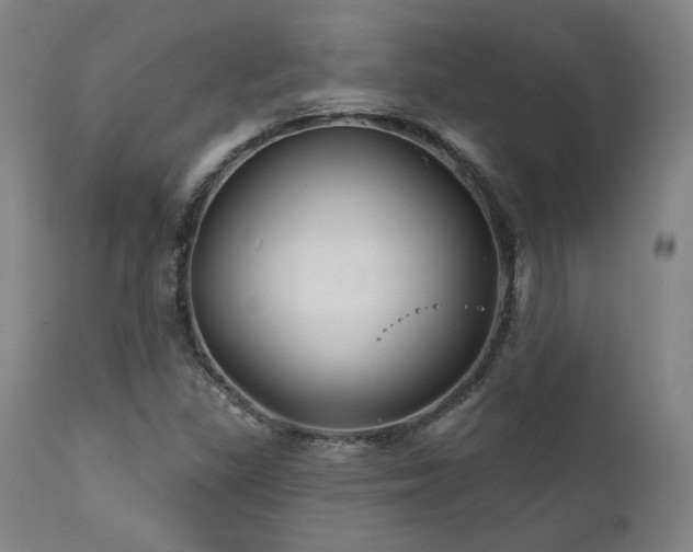 X0000111821309200907231308