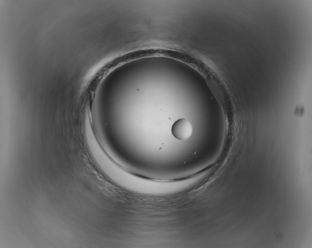 X0000111821310200907231308