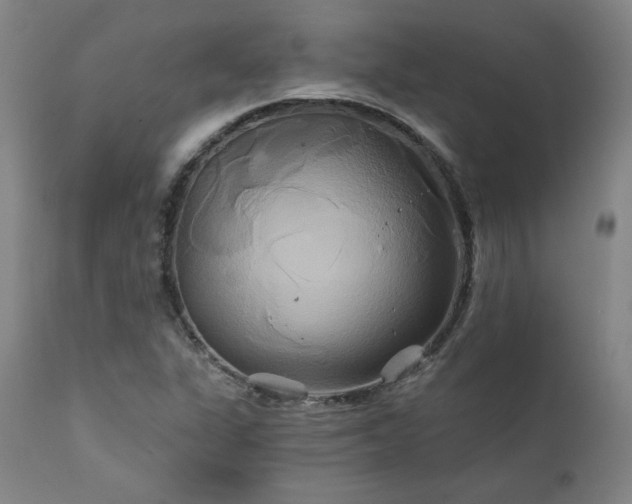 X0000111821311200907231308