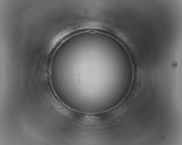 X0000111821312200907231308