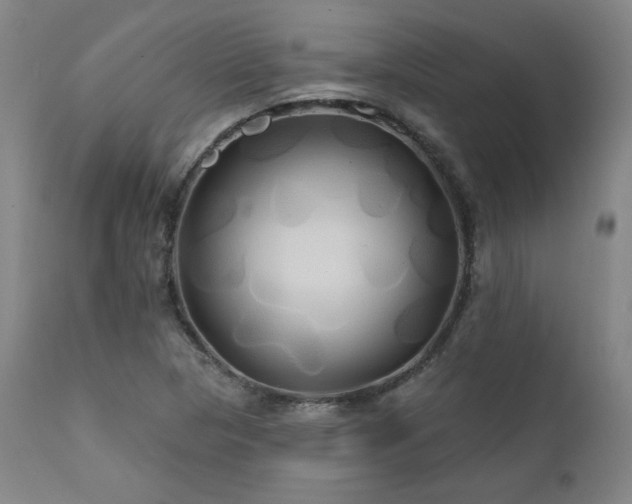 X0000111821313200907231308