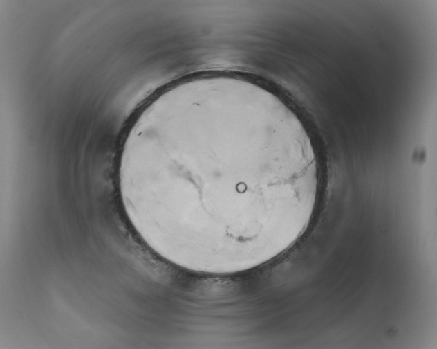 X0000111821314200907231308