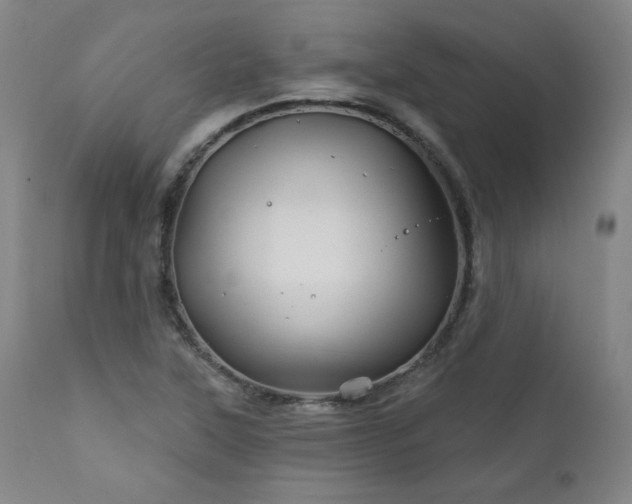 X0000111821315200907231308