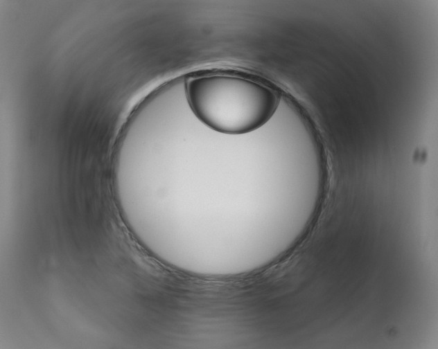 X0000111821316200907231308